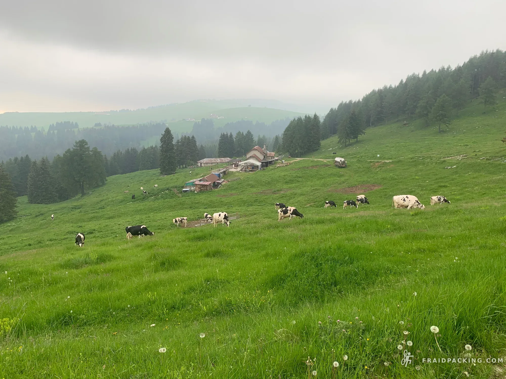 Asiago Loop — photo 16
