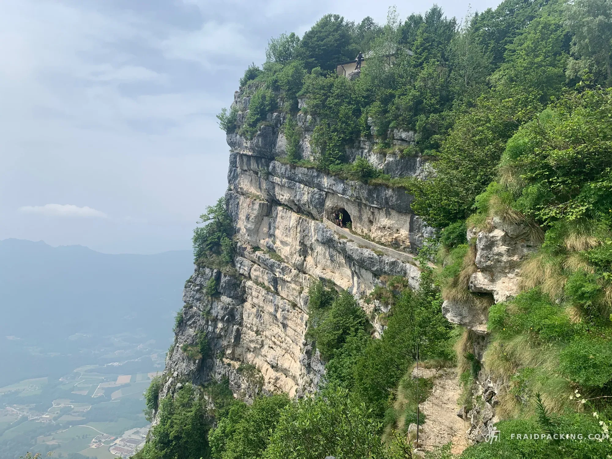 Asiago Loop