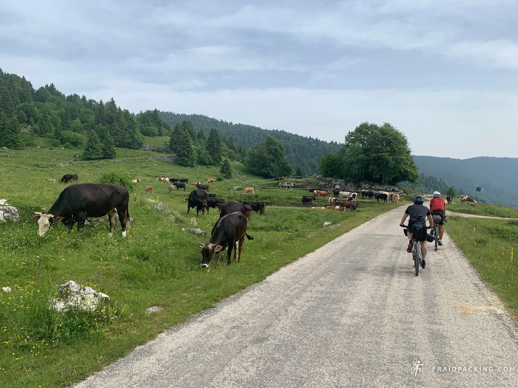 Asiago Loop — photo 25