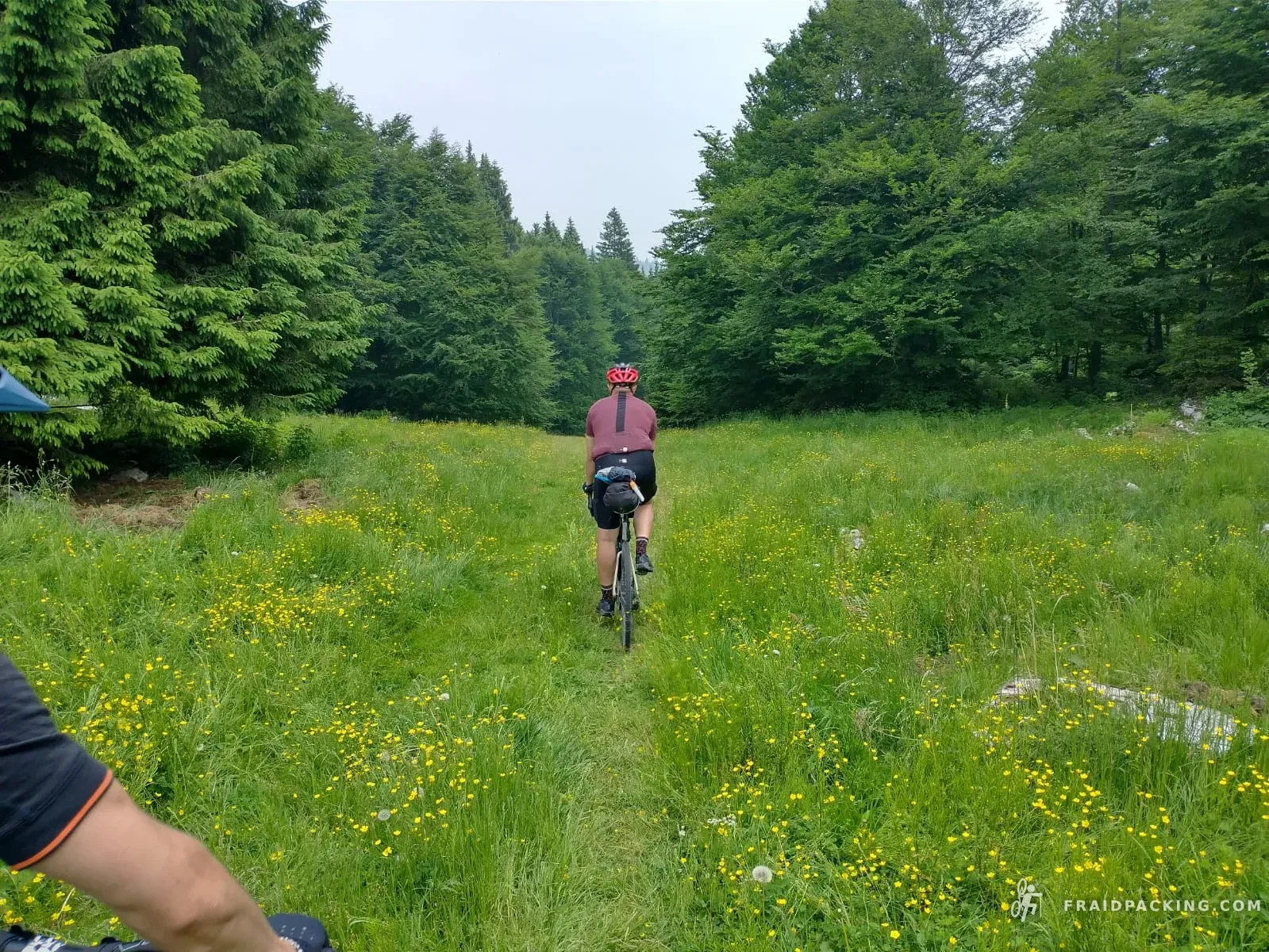 Asiago Loop — photo 27