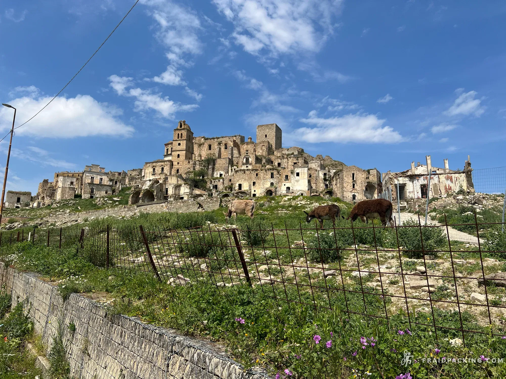 Basilicata C2C — photo 10