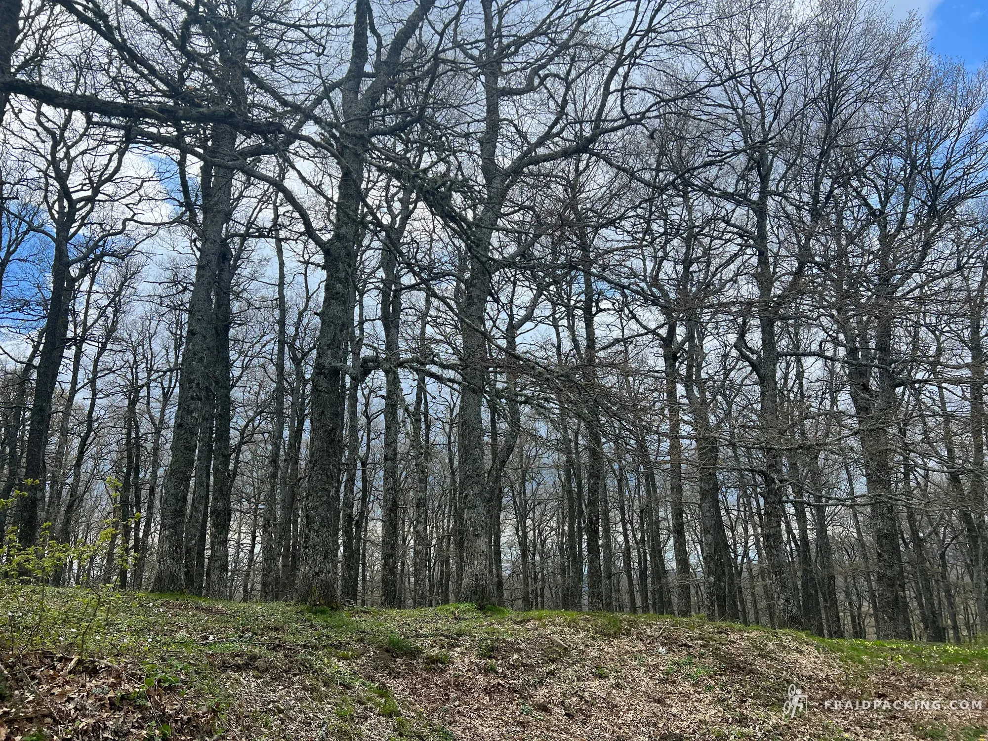 Basilicata C2C — photo 21