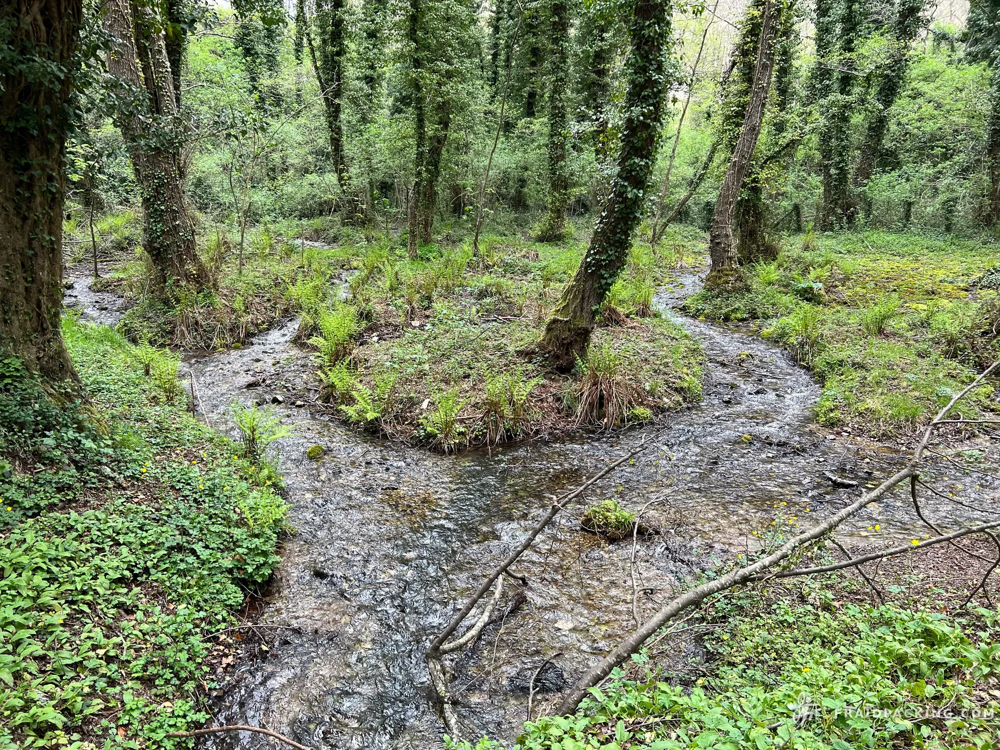 Basilicata C2C — photo 28
