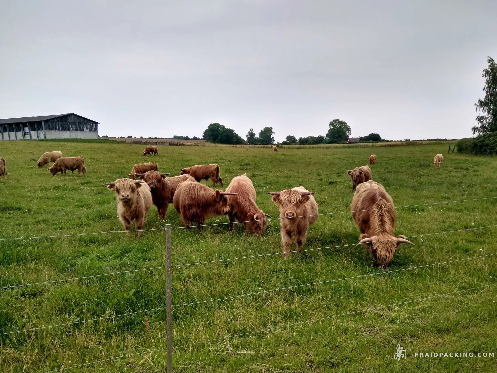 Across the North — photo 8