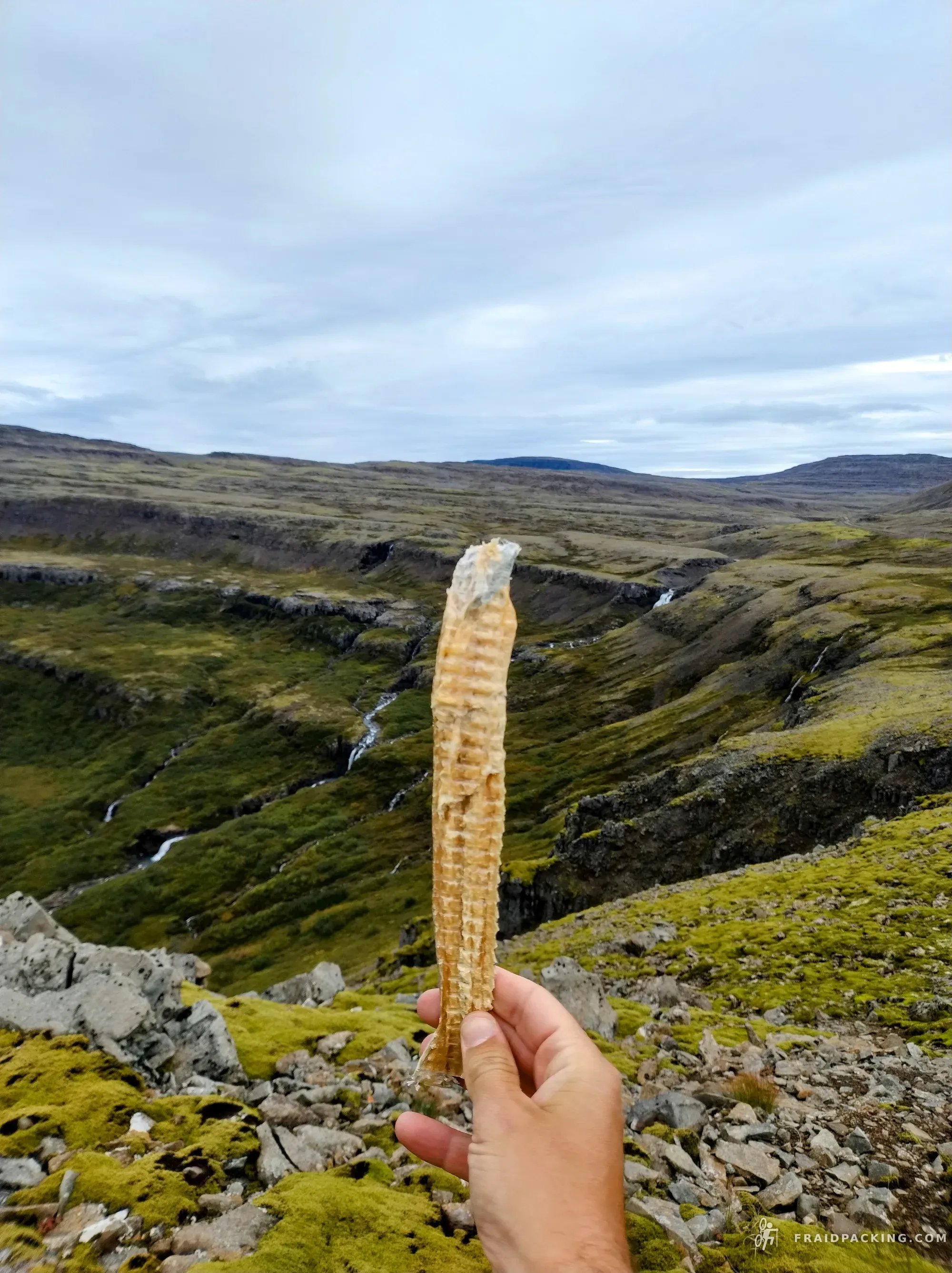 The Faroe–Iceland Traverse — photo 26