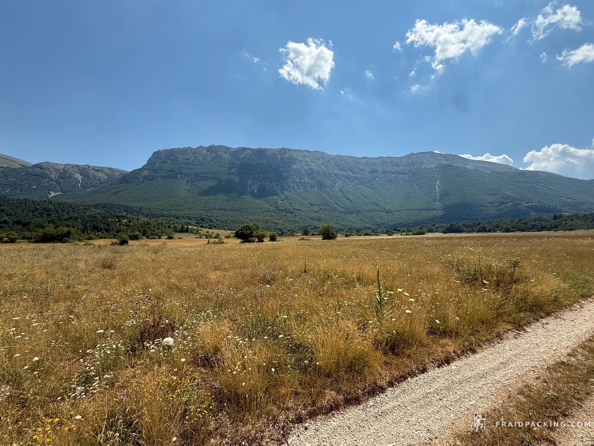 Fraidpacking dei Lupi — photo 4