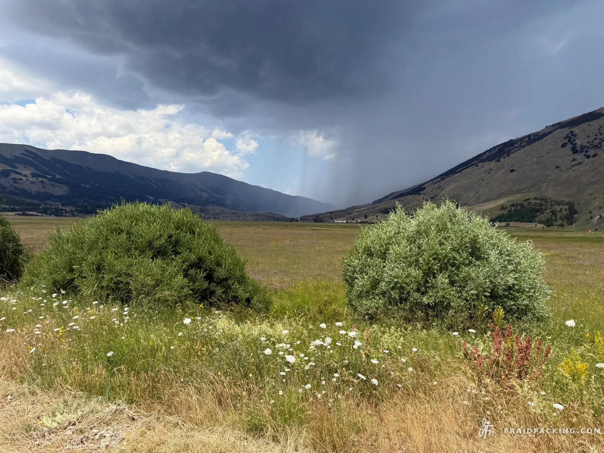 Fraidpacking dei Lupi — photo 10