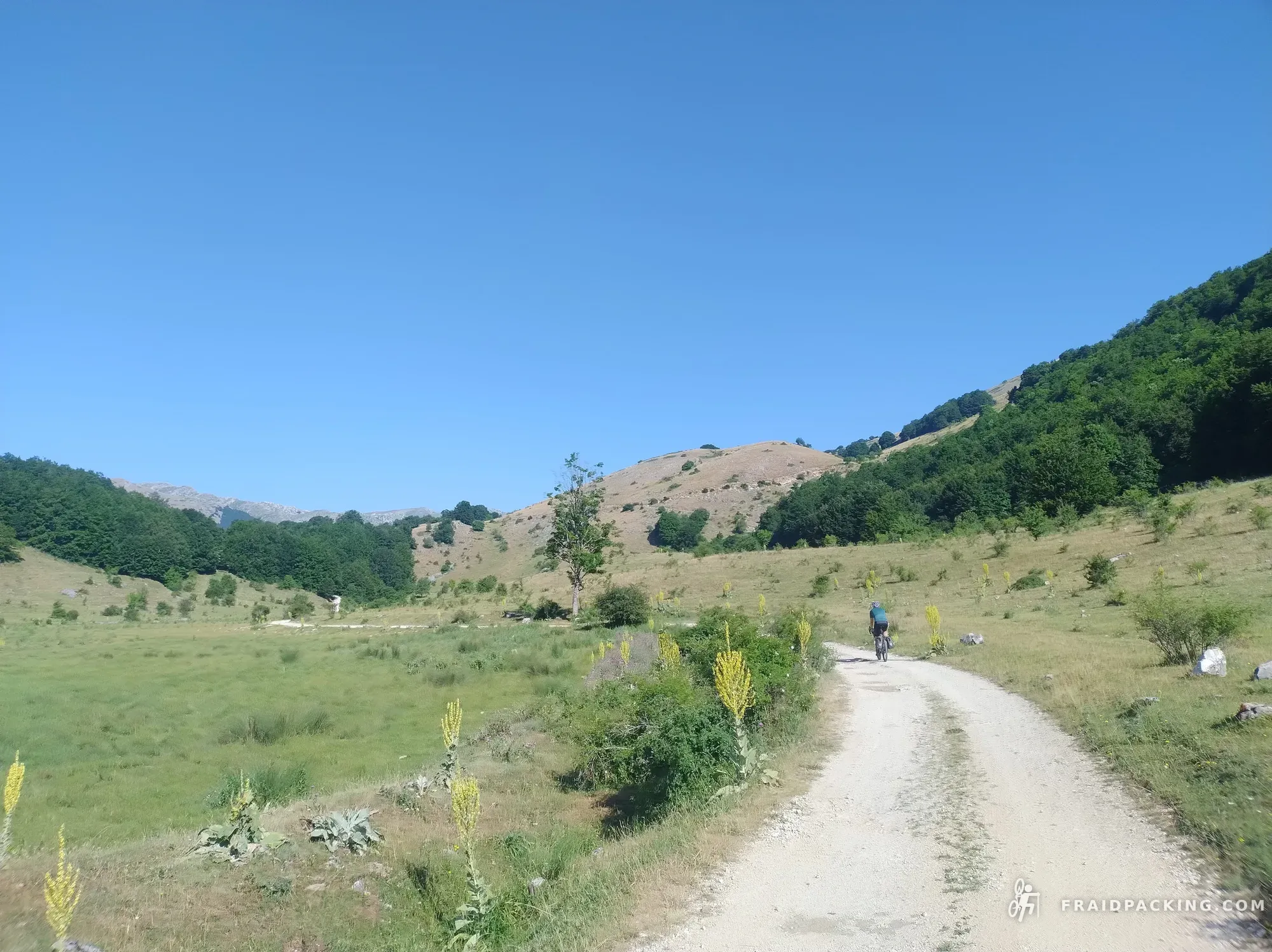 Fraidpacking dei Lupi — photo 26