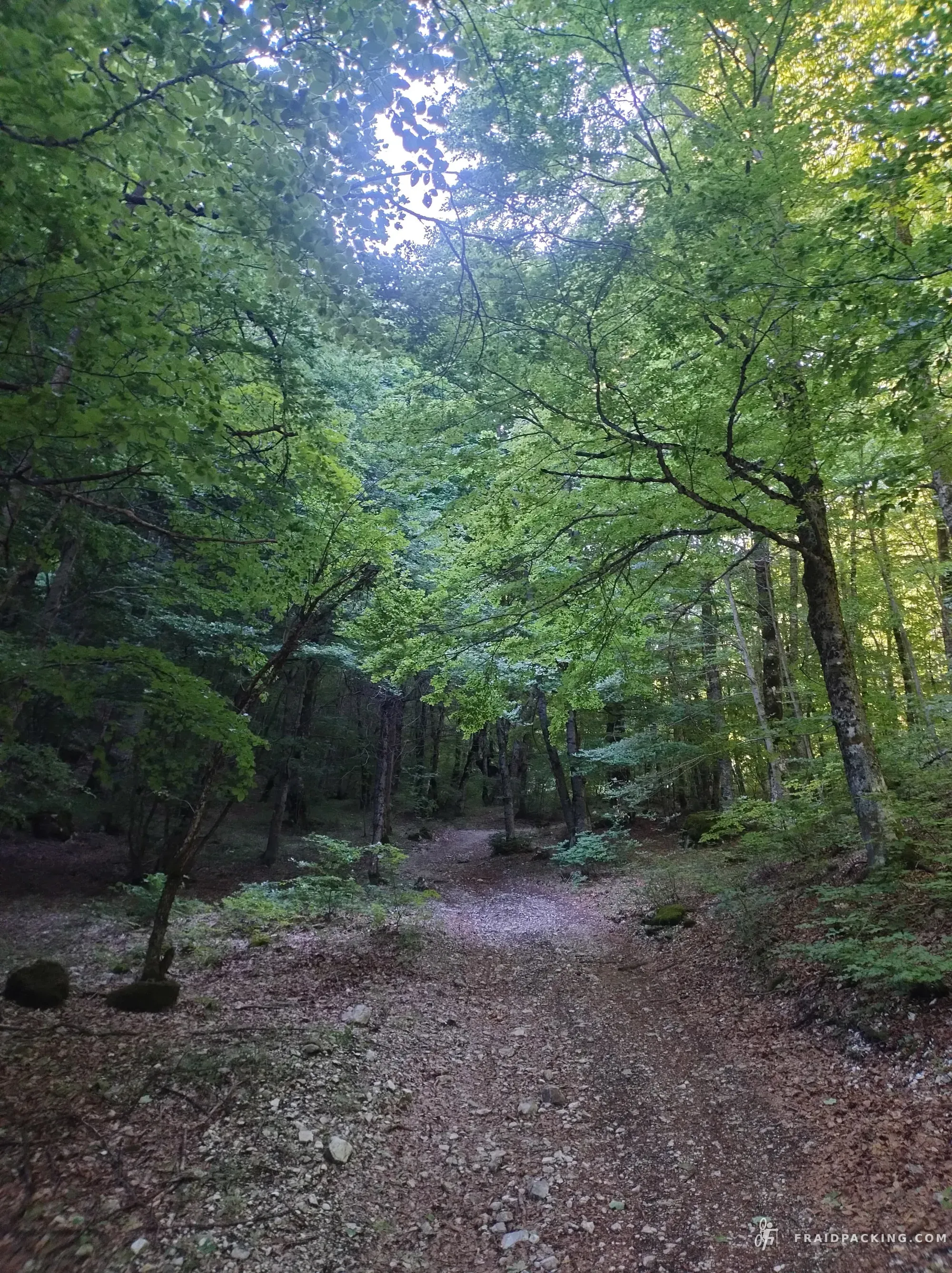 Fraidpacking dei Lupi — photo 28