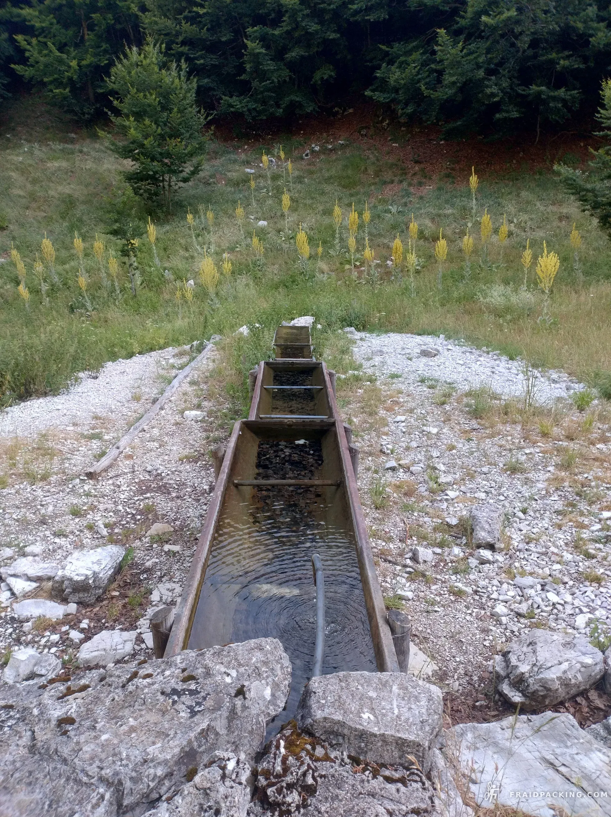 Fraidpacking dei Lupi — photo 35