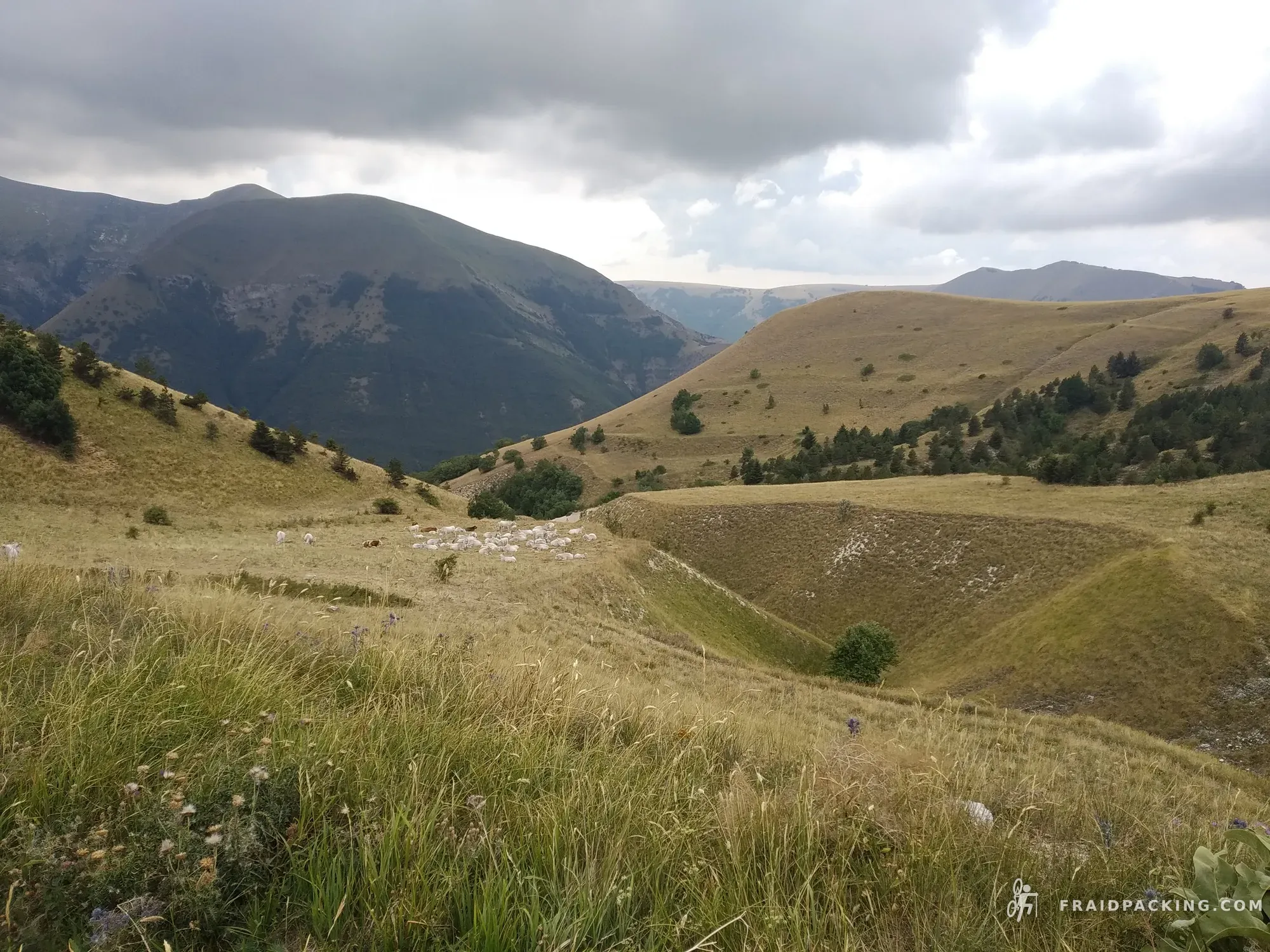 Marche divide — photo 6