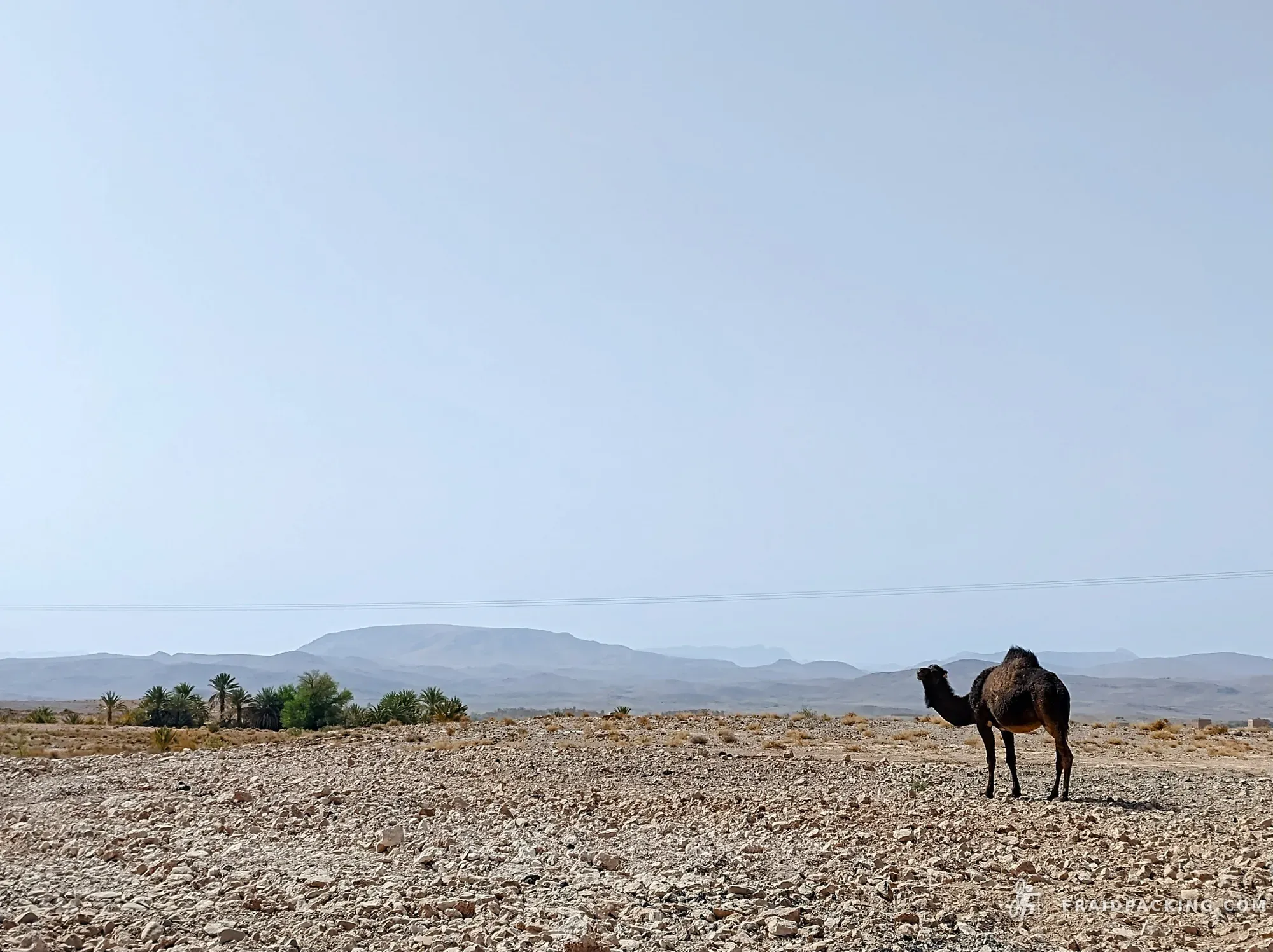 The Berbers way — photo 6