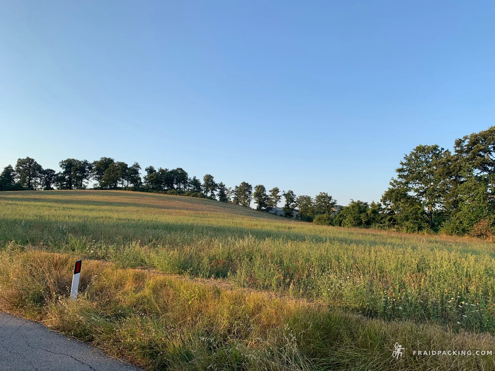 Random Ferragosto — photo 1