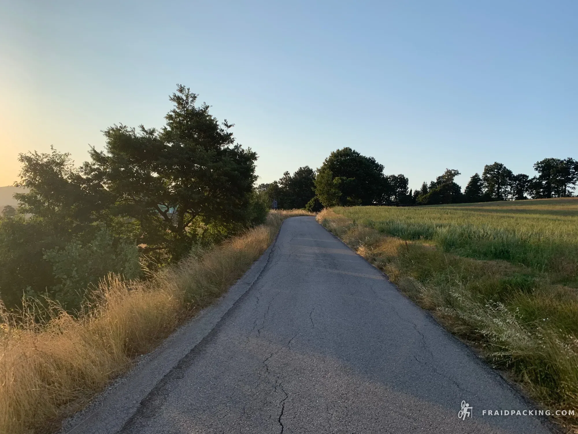 Random Ferragosto — photo 2