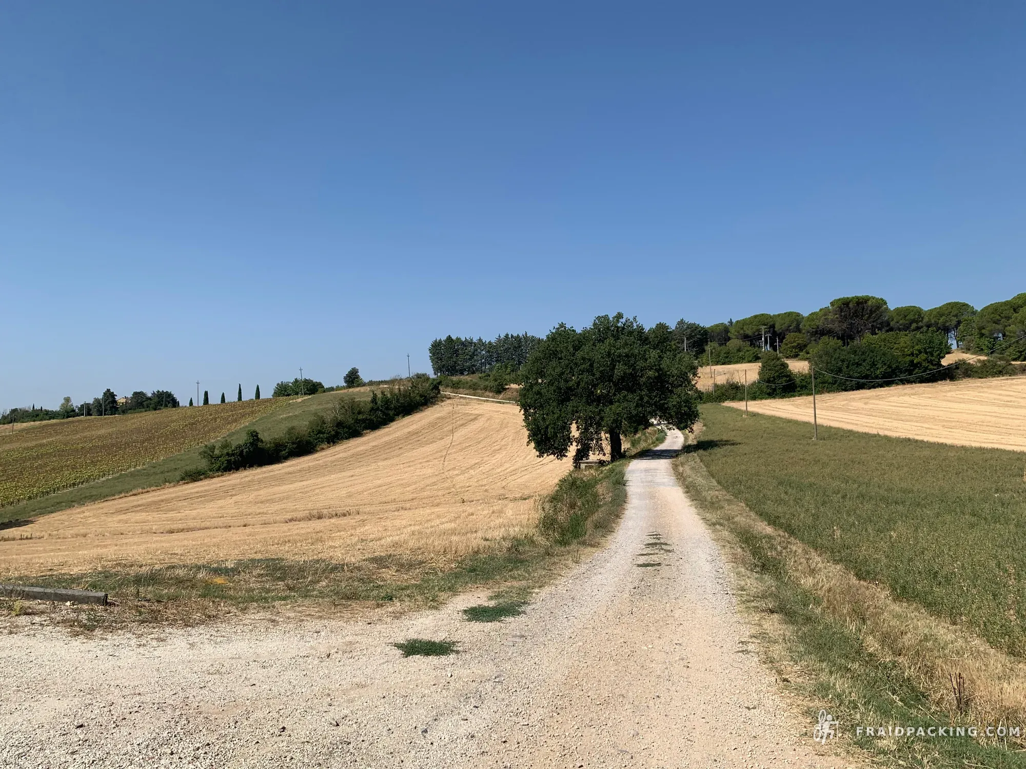 Random Ferragosto — photo 8