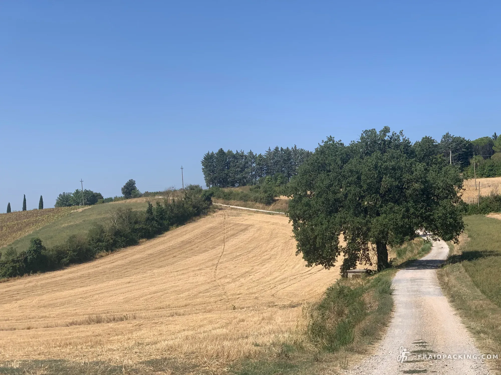 Random Ferragosto — photo 9