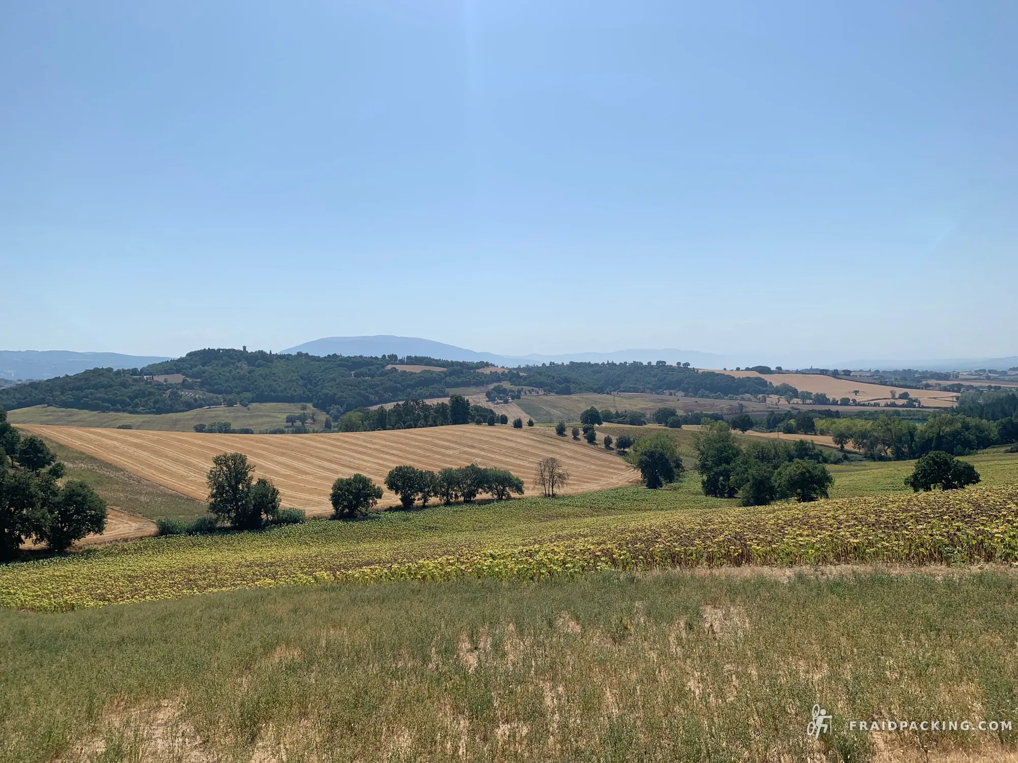 Random Ferragosto — photo 10