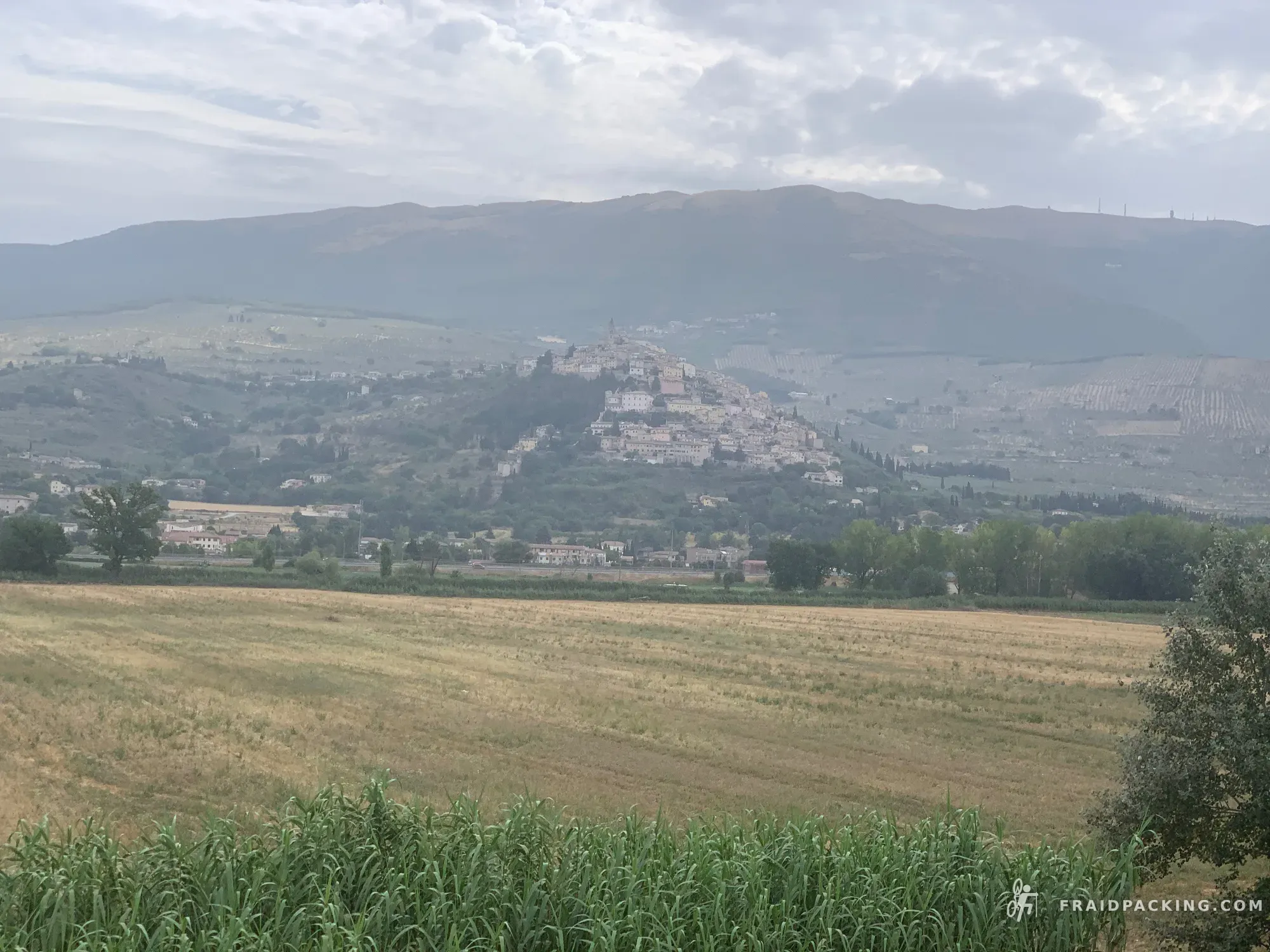 Random Ferragosto — photo 18