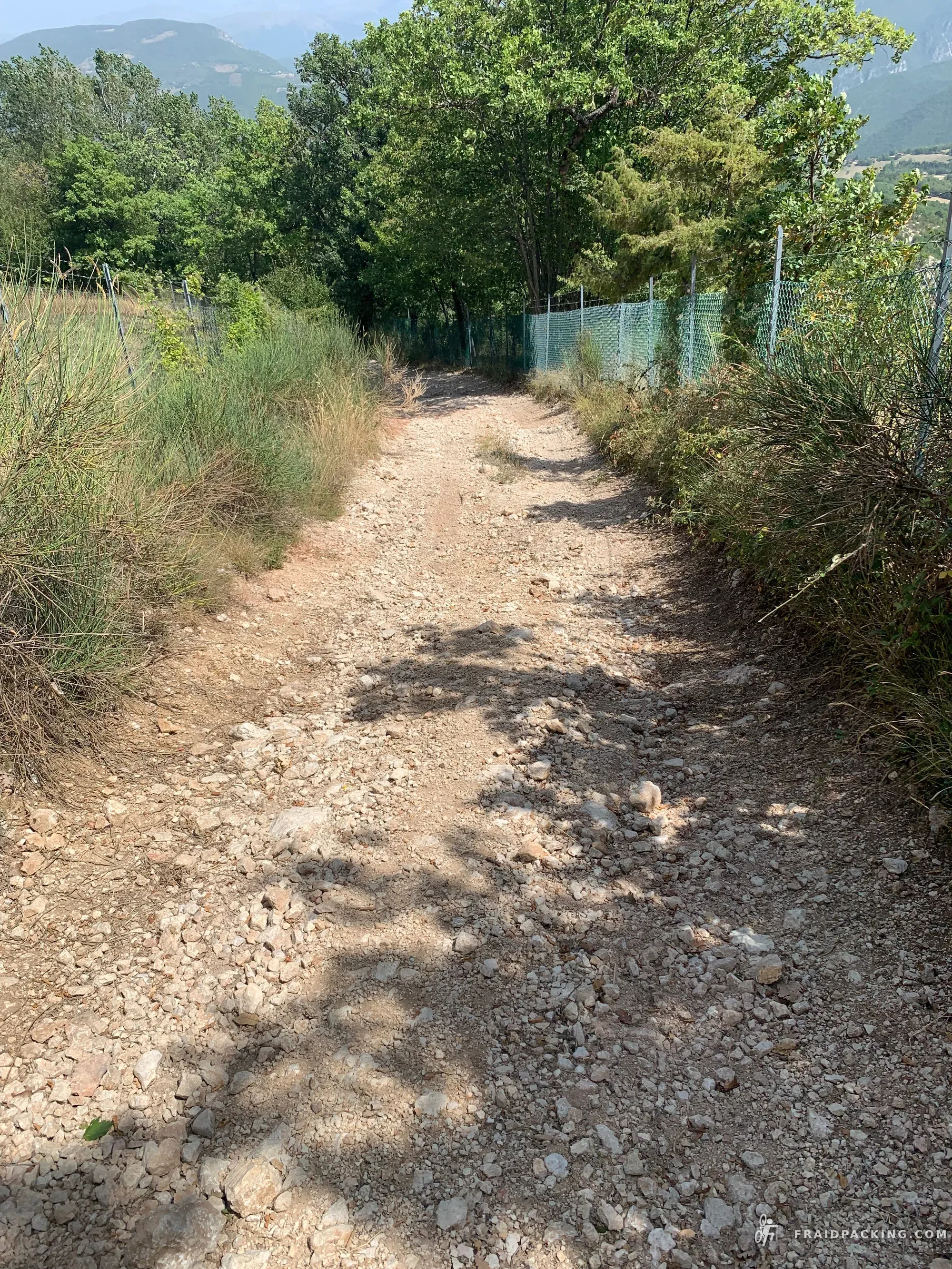 Random Ferragosto — photo 21
