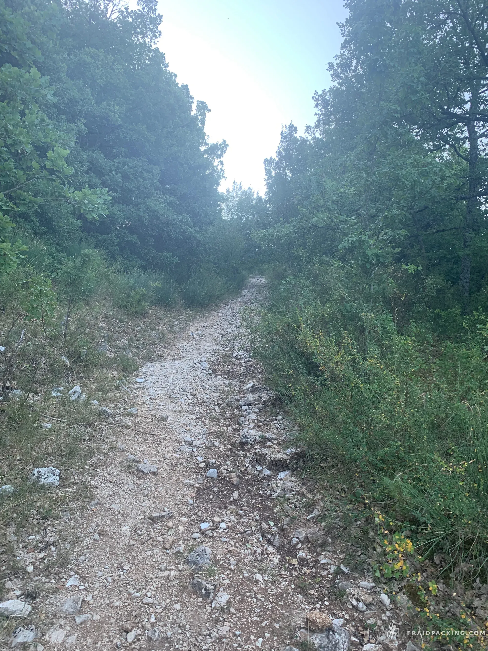 Random Ferragosto — photo 33