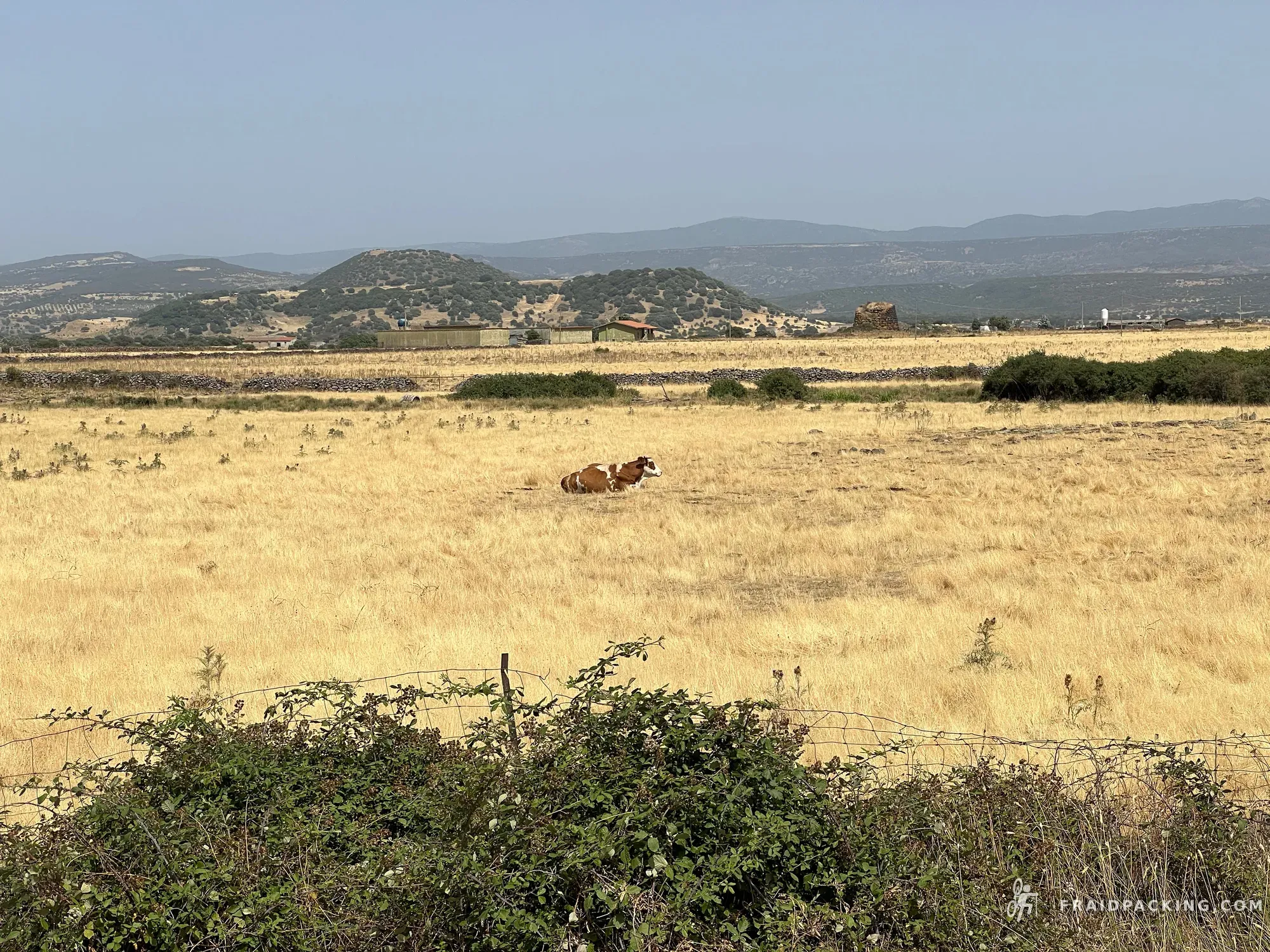 Sardegna — photo 22