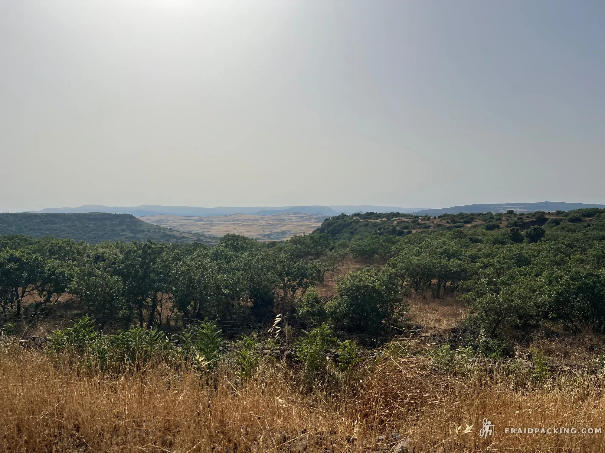 Sardegna — photo 23