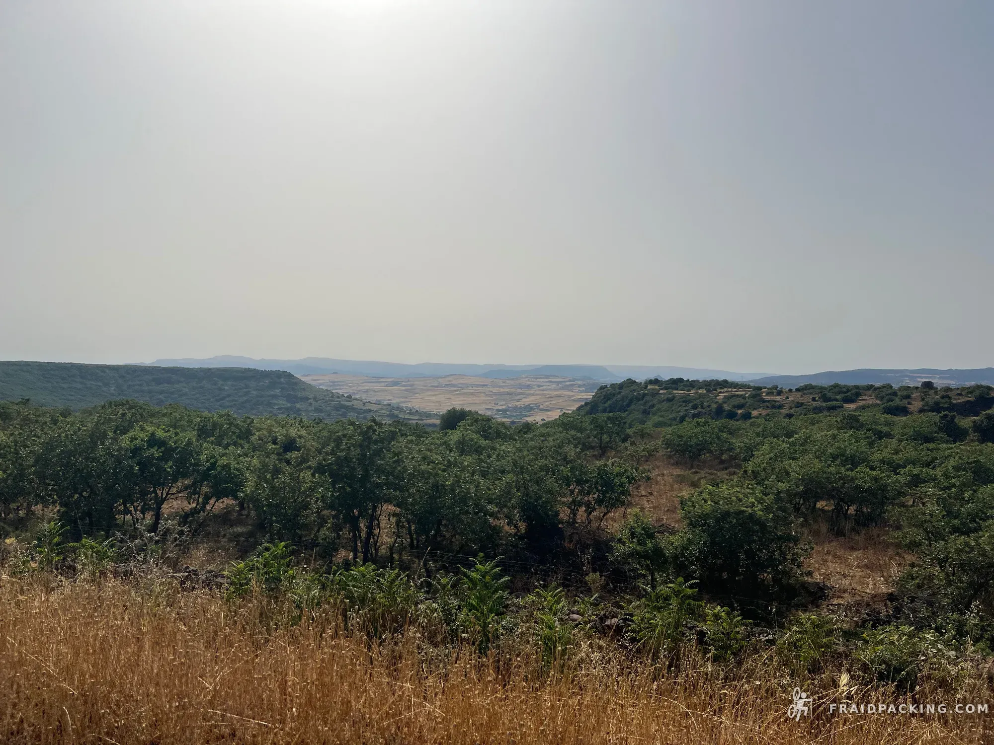 Sardegna — photo 24