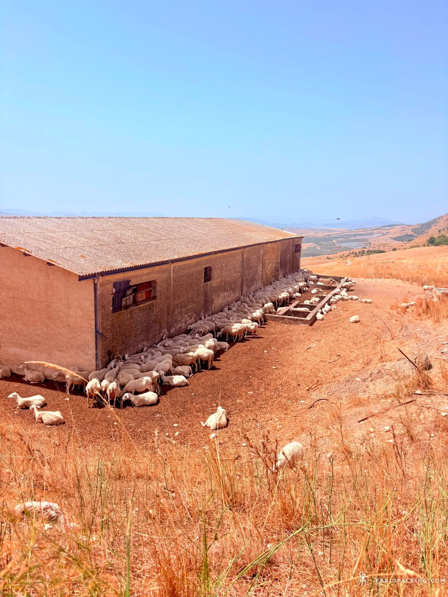 Sicily Divide — photo 13