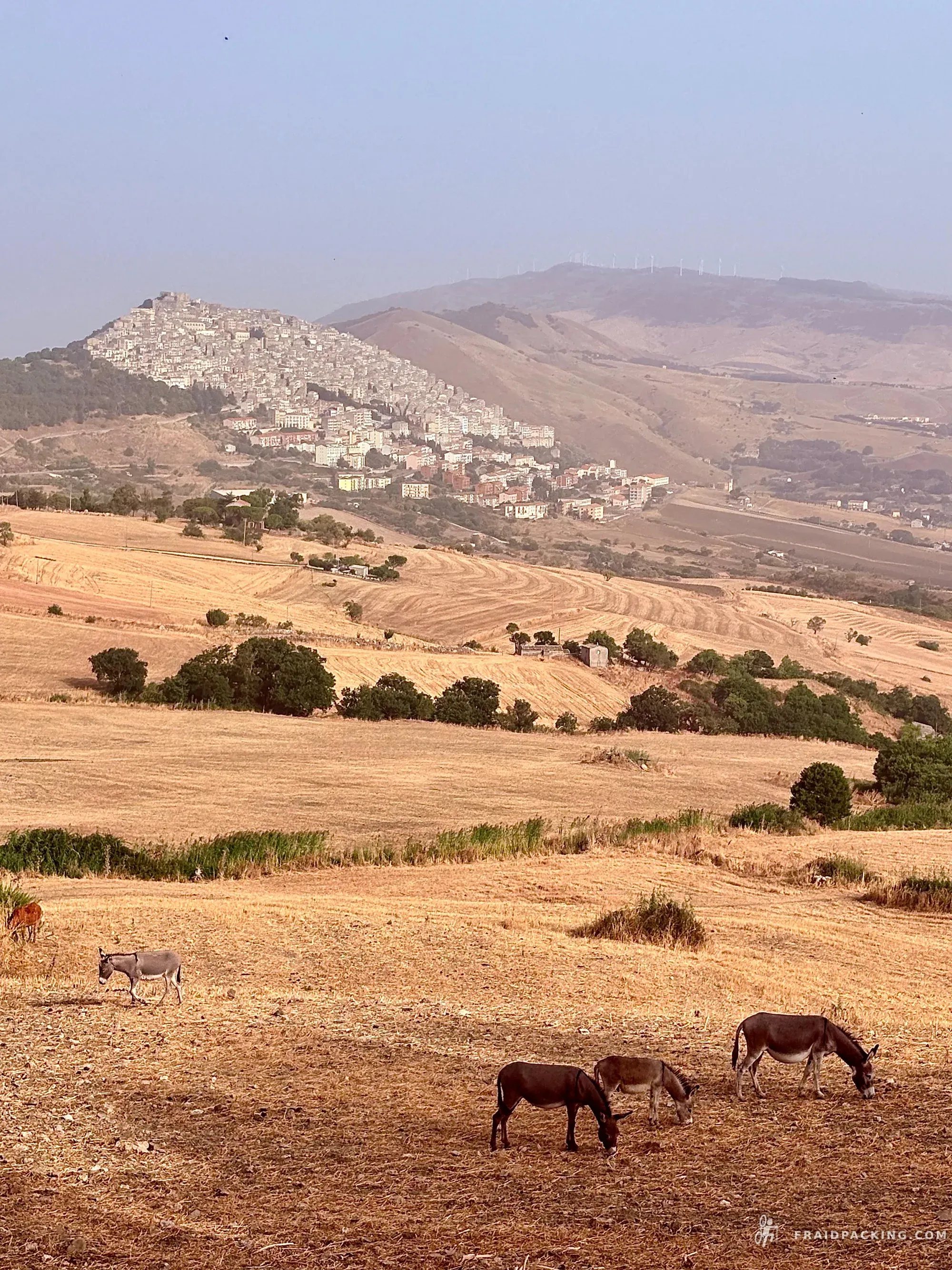 Sicily Divide — photo 17