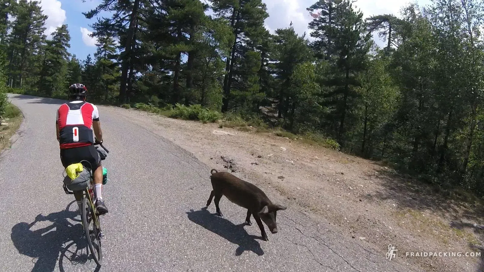 Tour de Corse — photo 10
