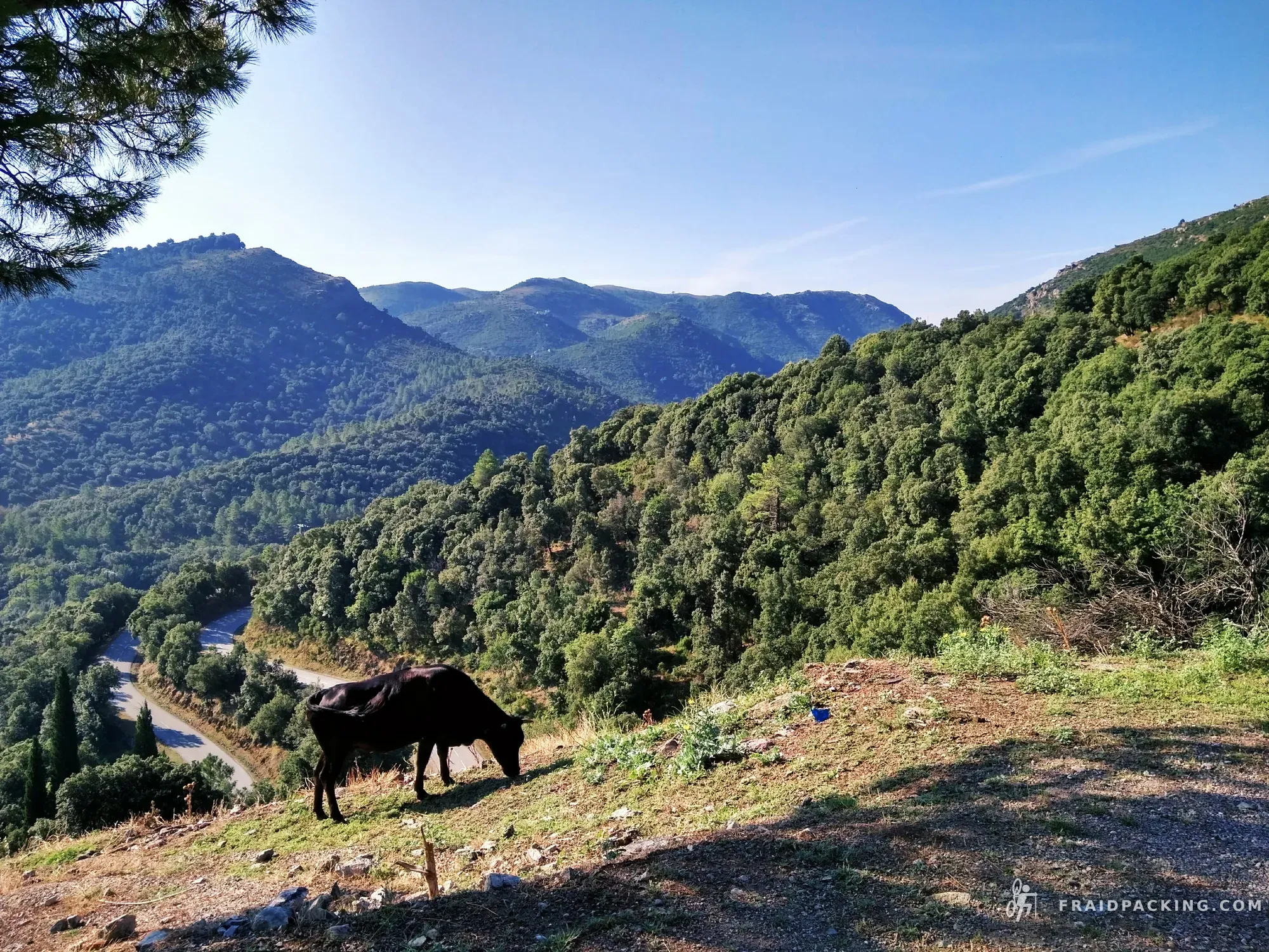 Tour de Corse — photo 7