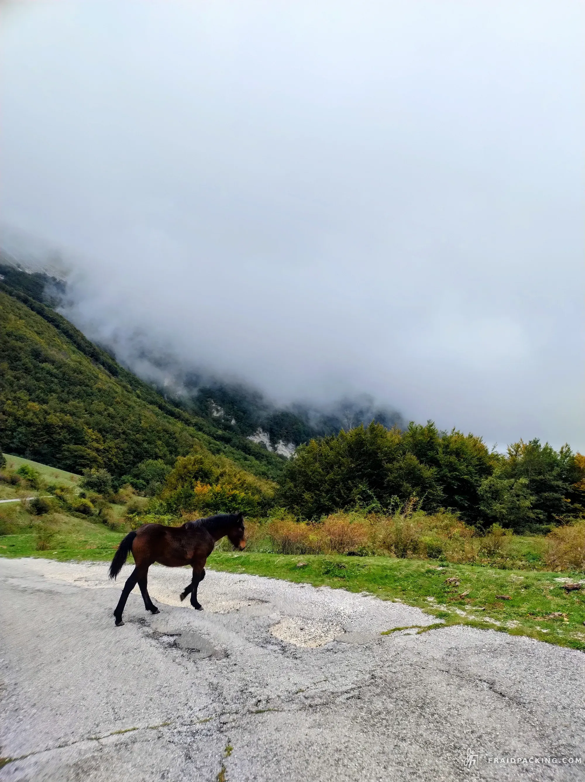 Tre Monti Madness — photo 1