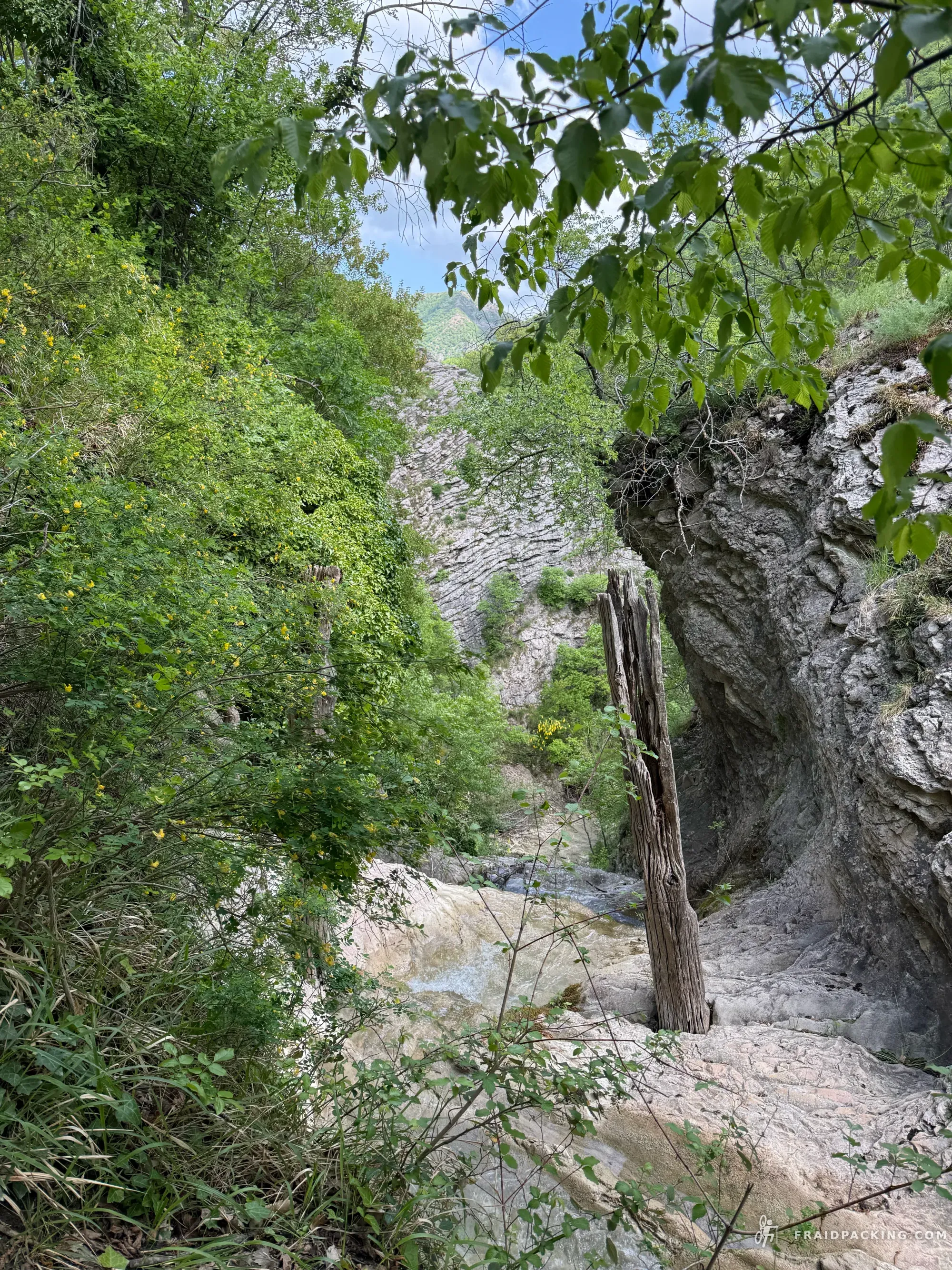 Tre Monti — photo 12
