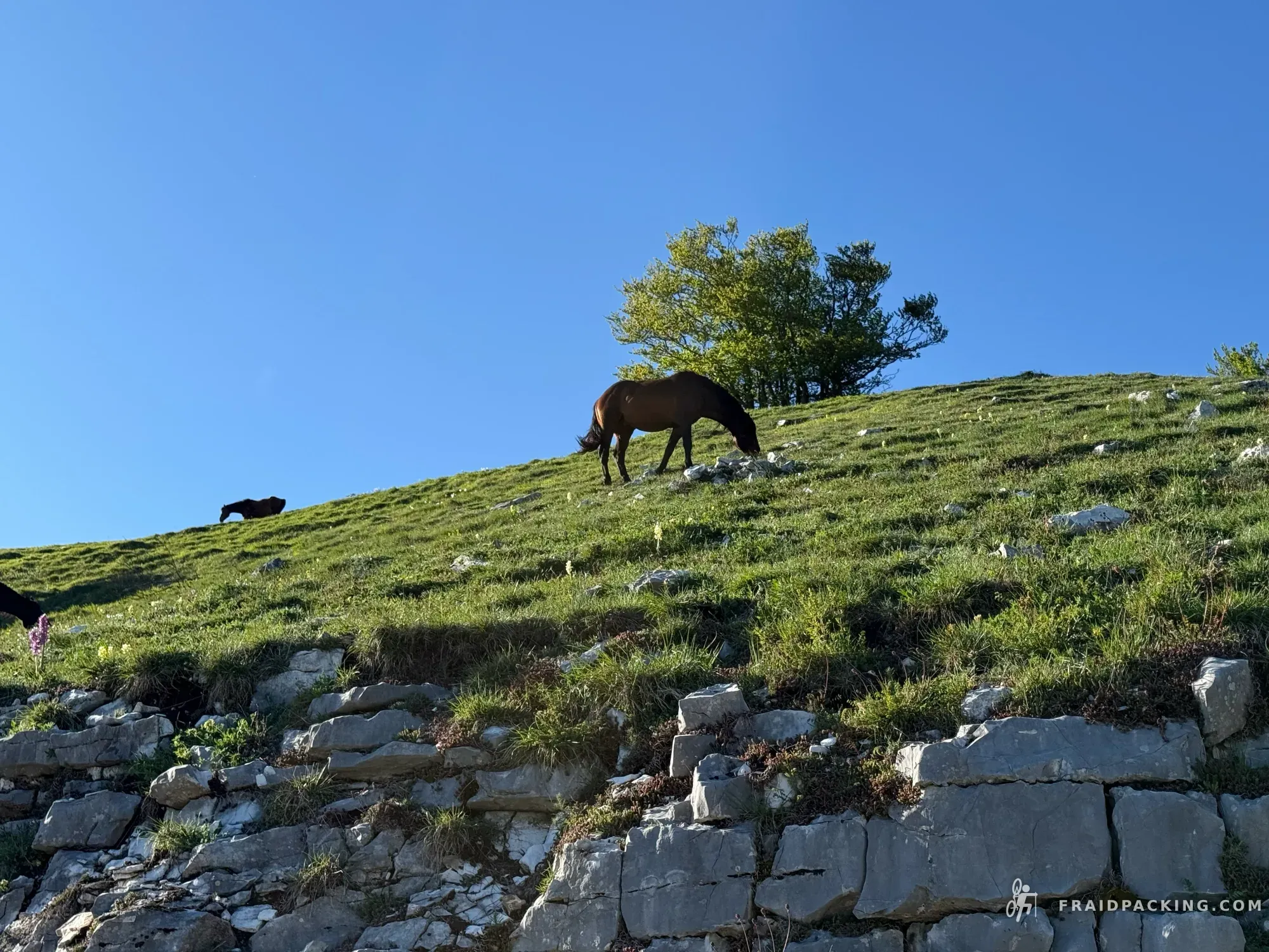 Tre Monti — photo 23