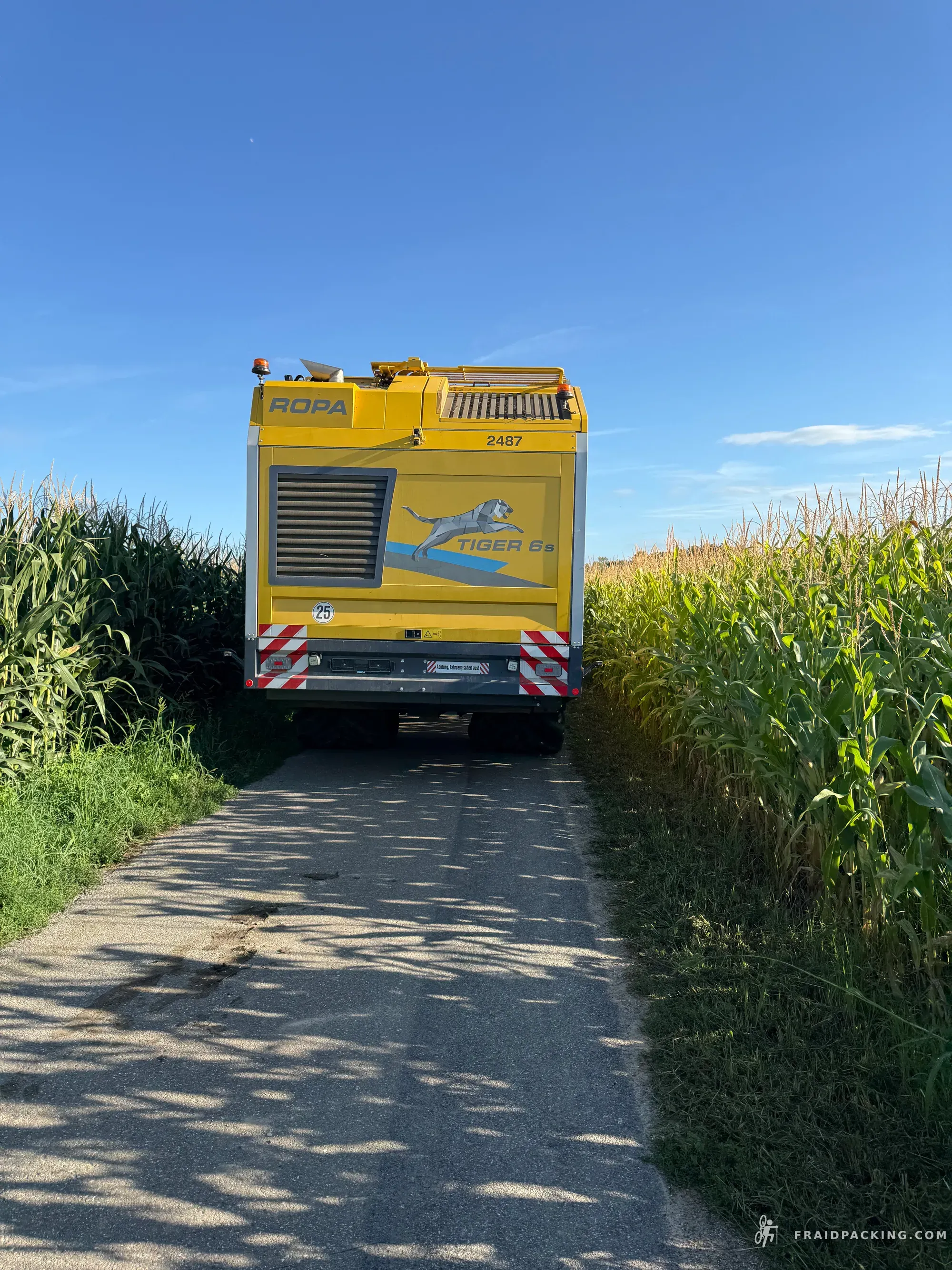 Witte Wegen, Lage Landen — photo 106