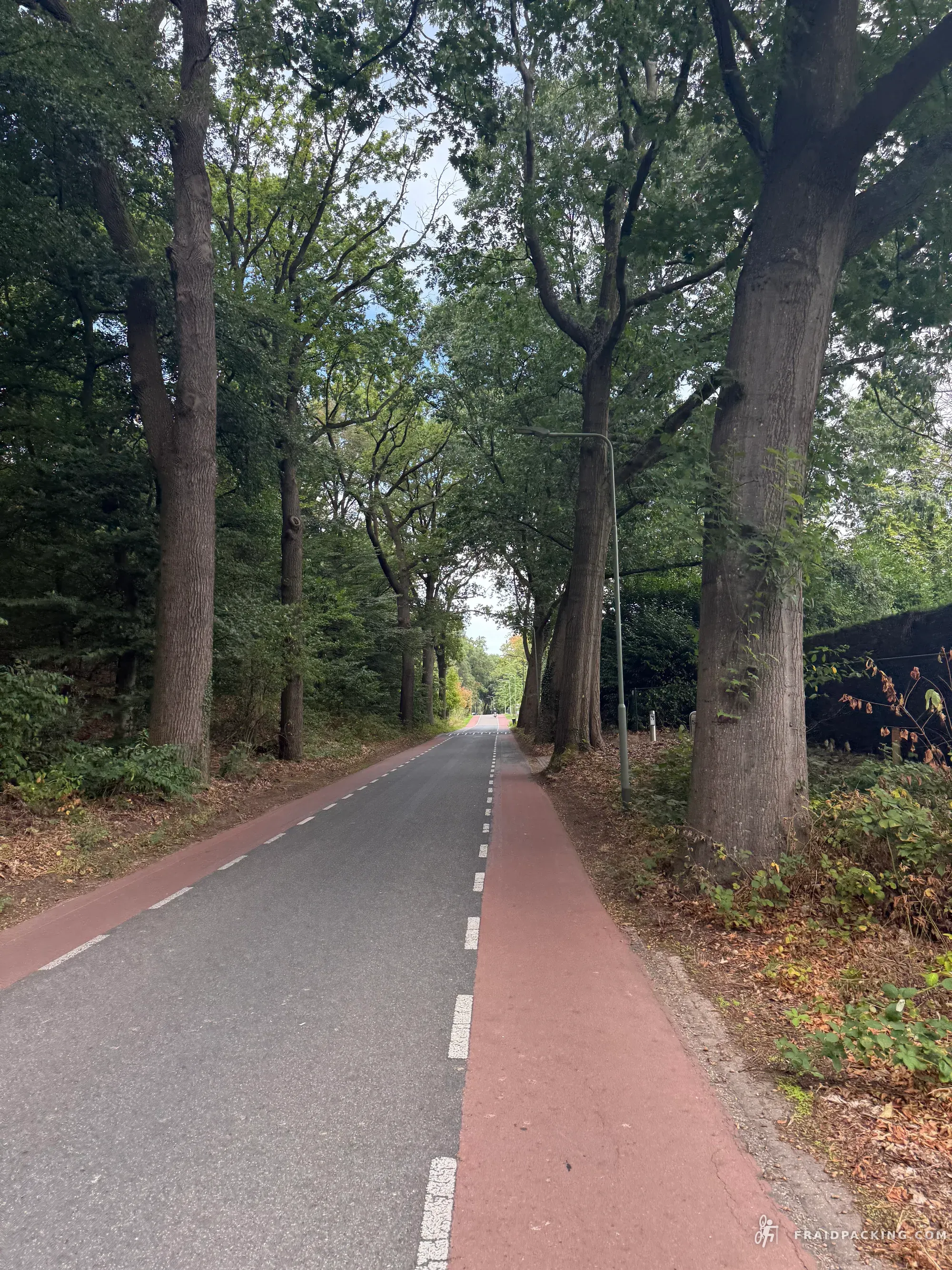 Witte Wegen, Lage Landen — photo 188