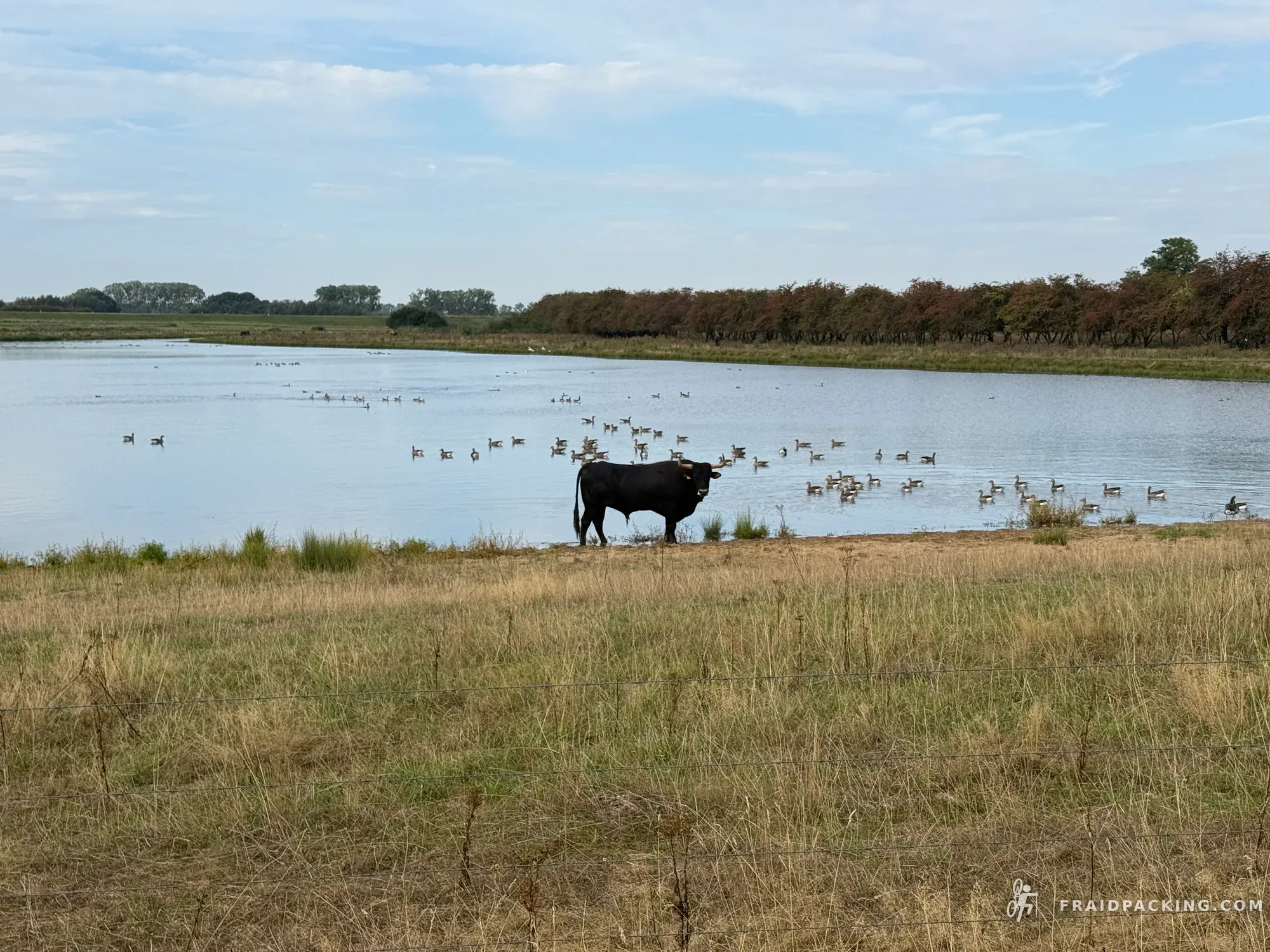 Witte Wegen, Lage Landen — photo 194